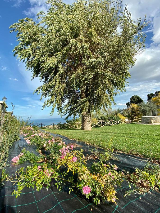 Residenza B&B VistaMare Petacciato Exterior foto